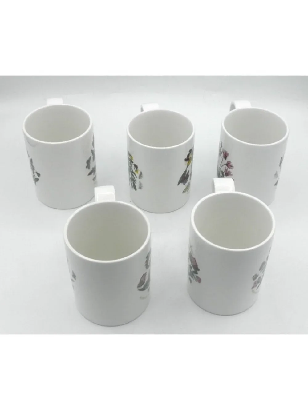 Portmeirion Botanic Garden 12 Ounce Mugs Set of 5 Assorted Pattern Code: PRTBOG